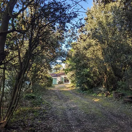La Menouniere - Maison Ile D'oleron, 100m Du Bord De Feriehus