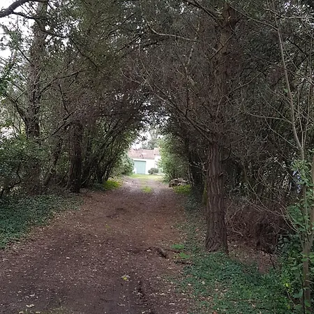 Feriehus La Menouniere - Maison Ile D'oleron, 100m Du Bord De *