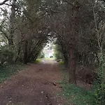 Hébergement de vacances La Menounière - Maison Ile D'oléron, 100m Du Bord De *
